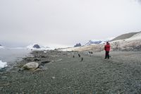
DSC00137